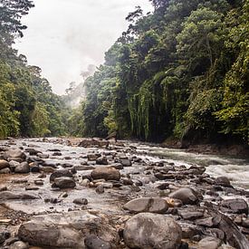Dschungel Sumatra von Ilona Duba