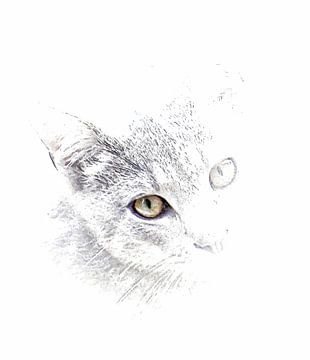 Kijken naar jou Tabby kat van Dorothy Berry-Lound