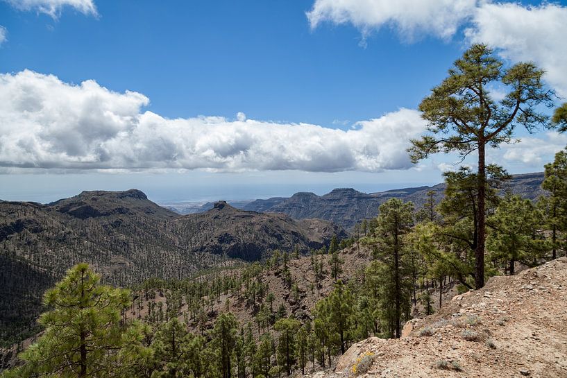 Prachtig landschap rond San Bartolomé de Tirajana, Gran Canaria, Spanje. van Marjolein Zijlstra
