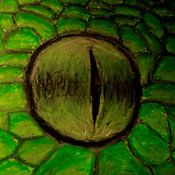 Auke de Kok Profilfoto