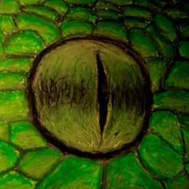 Auke de Kok Profilfoto