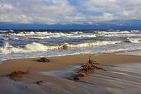 Baltic Sea beach