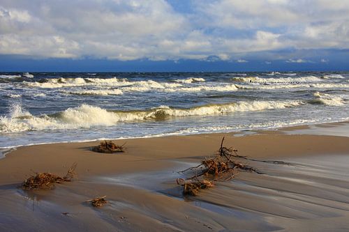 Ostseestrand von Marcel Schauer