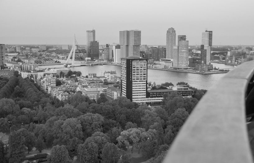 Rotterdam view par Peter Hooijmeijer