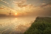 Foggy sunrise in Kinderdijk van Ilya Korzelius thumbnail