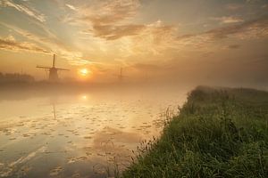 Nebliger Sonnenaufgang in Kinderdijk