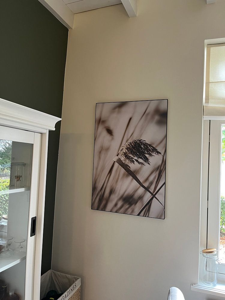 Reeds in the wind  by Evelien 