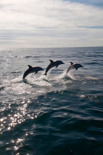 Leaping dolphins in the ocean by Poster Art Shop