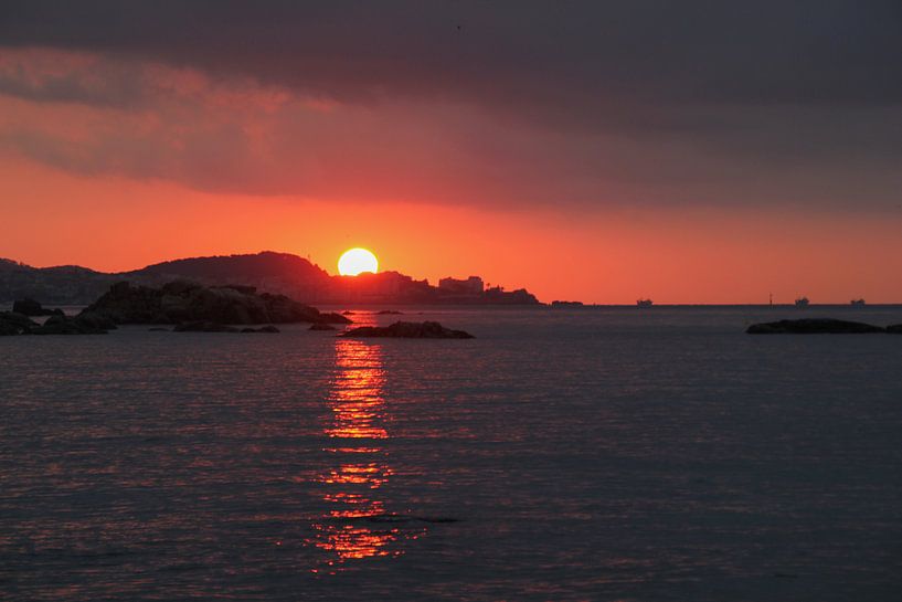 Unter der spanischen Sonne von Ylse Wynia