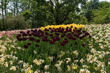 Keukenhof sur Ab Wubben