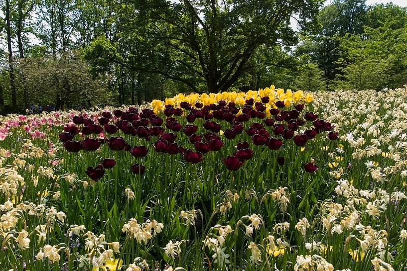 Keukenhof par Ab Wubben