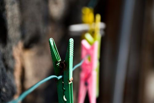 Wasknijpers Fuerteventura