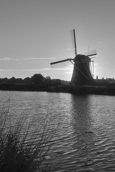 Windmolen  by Armando de Sousa