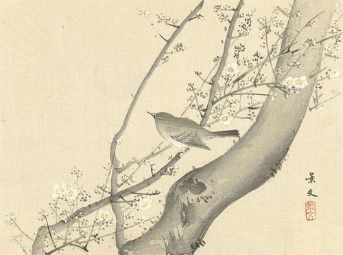 Vogeltje in boom met witte bloesem van Matsumura Keibun - 1892