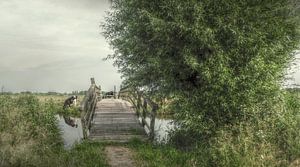 Paysages néerlandais sur Annelies Schreuder