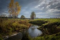 Tungelroysis brook