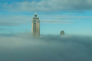 Zalmhaventoren in de mist