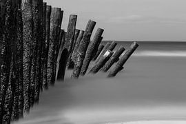 Mussel piles in the sea black and white by Jonas Demeulemeester