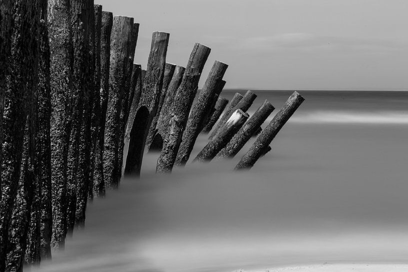 Muschelhaufen im Meer schwarz und weiß von Jonas Demeulemeester