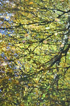 Herbstliche Reflektionen im Wasser. von Christa Stroo photography