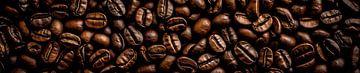 Panorama with coffee beans by Studio XII