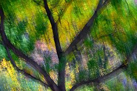 HERBSTTAG 2