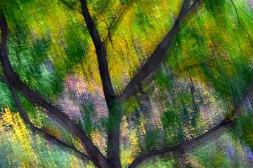 AUTUMN DAY 7 by Miroslav Ptacek