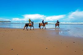 Reiten am Strand in Portugal von Eye on You
