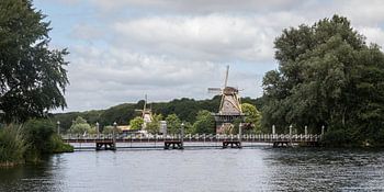 Molens De Lelie en De Ster aan de Kralingse Plas in Rotterdam