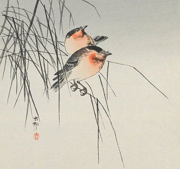 Twee vogels op riet, Ohara Koson