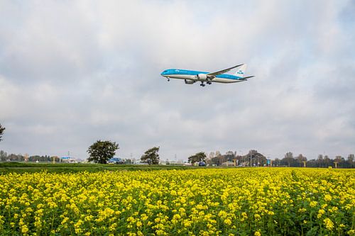 KLM in landing