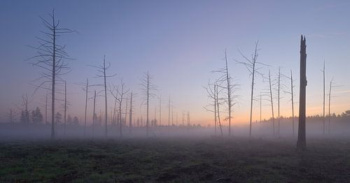 Sonnenaufgang in Dwingelderveld – Drenthe (Niederlande) von Marcel Kerdijk