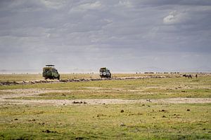 Auf Safari in Kenia.