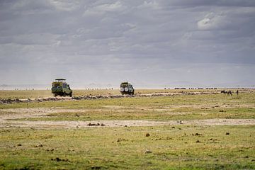 Op safari in Kenia.