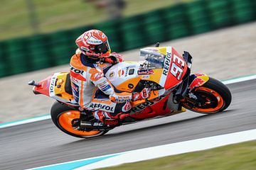 Marc Marquez #93 Honda Repsol Team by Theo Groote