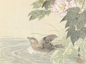 Imao Keinen – Badevogel bei rosa Blume (1892–1911)