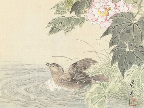 Imao Keinen - Badvogel met roze bloem (1892-1911)