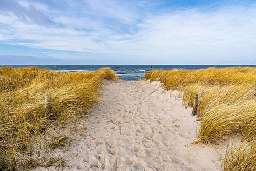 Toegang tot het strand in de duinen aan de kust van de Oostzee in de buurt