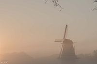 The Netherlands