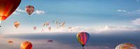 Veel heteluchtballonnen in de lucht