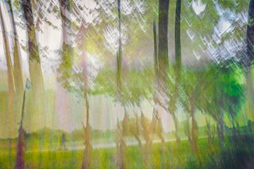 Waldspaziergang von Frans Nijland