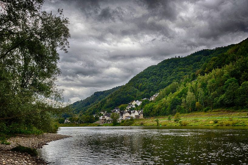 Along the Moselle by Ger Nielen