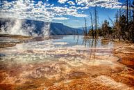 Yellowstone National Park by Marcel Wagenaar thumbnail