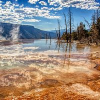 Yellowstone-Nationalpark