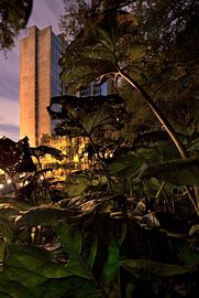 Office "park" by M. Diaz