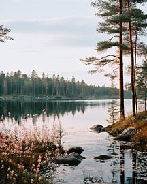 Romantisches Schweden