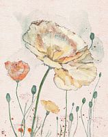 Bloemenveld