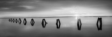 Avondsfeer bij de Neusiedler in Oostenrijk in zwart-wit. van Manfred Voss, Schwarz-weiss Fotografie