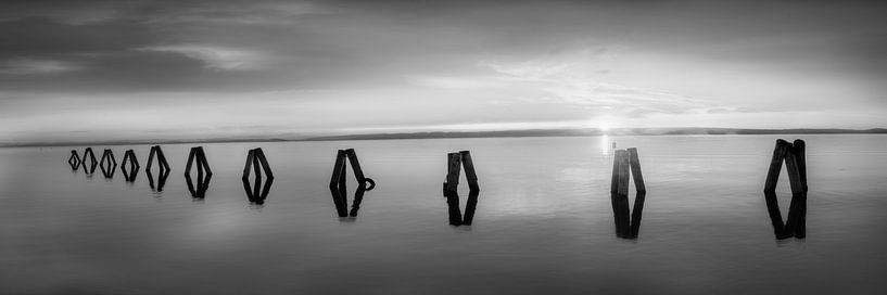 Abendstimmung am Neusiedler in Österreich in schwarzweiss. von Manfred Voss, Schwarz-weiss Fotografie