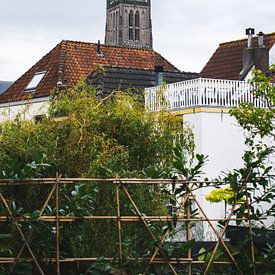 De toren van Zaltbommel van Tabitha den Hartog